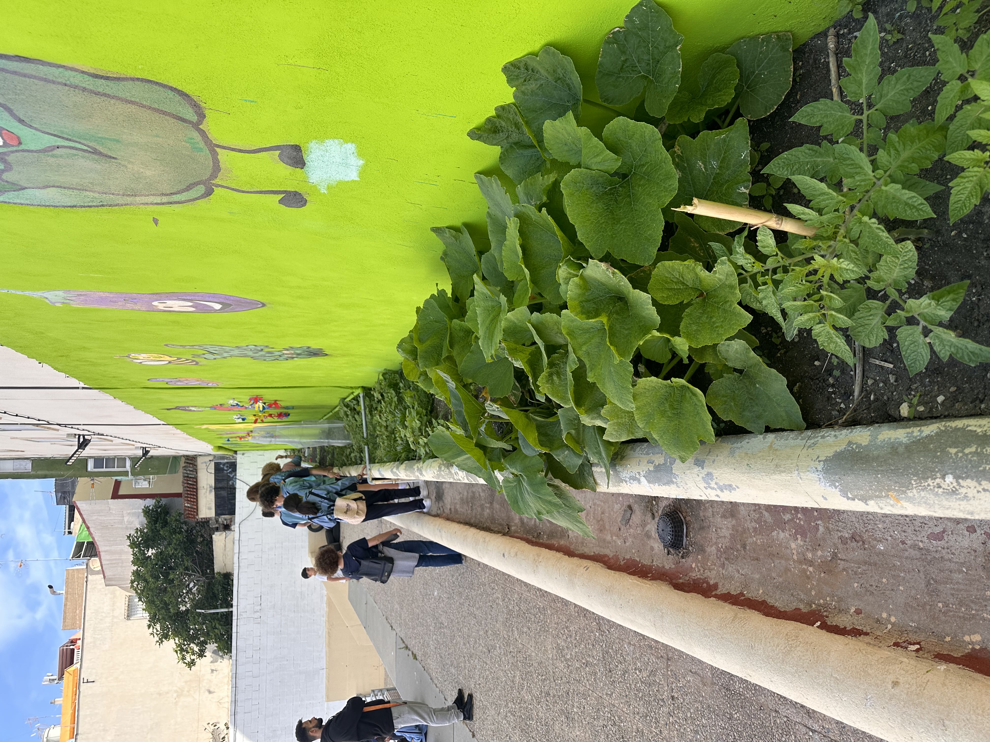 Huerto Escolar